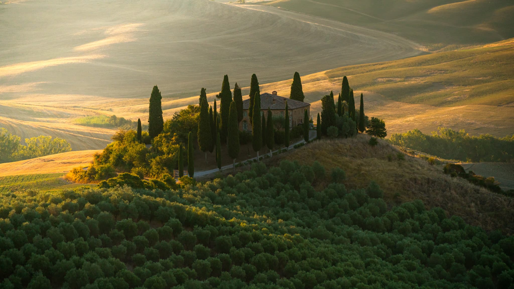 Golden evening light over a farmhouse and cypresses in Tuscany